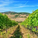 Daire Podere Lamone A Monticchiello