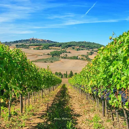 Апартаменты Podere Lamone A Монтичелло