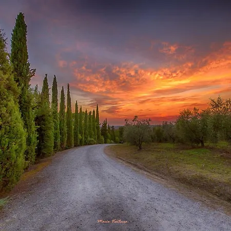 Podere Lamone A * مونتيتشيلو